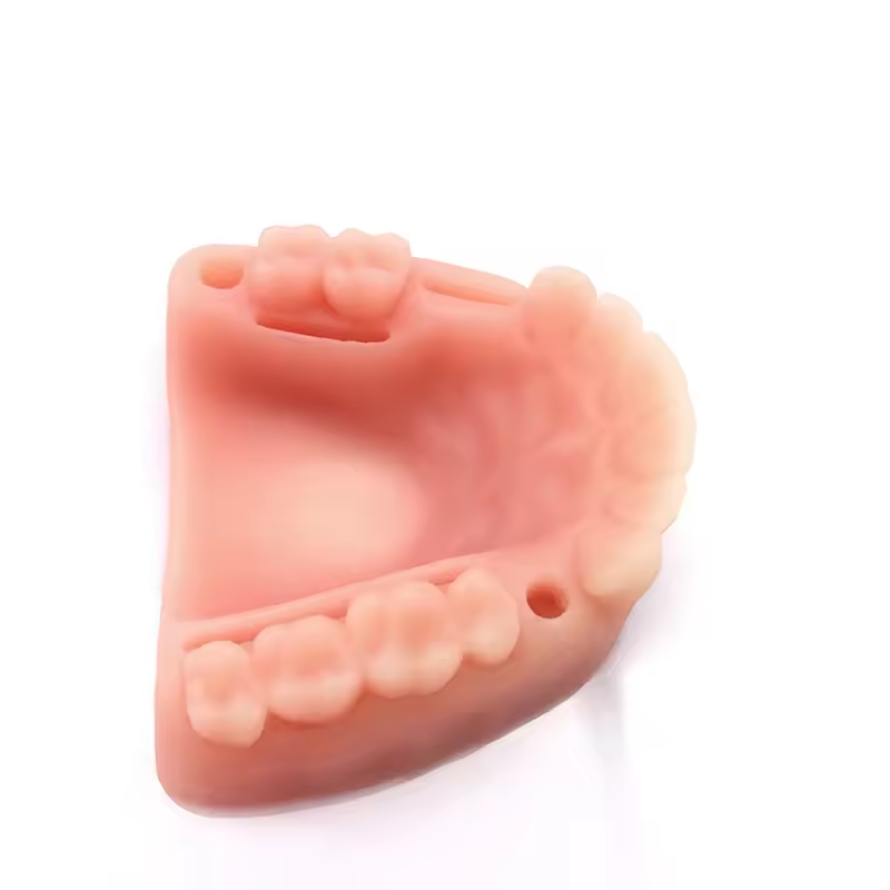 Diş Mod&uuml;l&uuml; Dikiş Eğitim Seti Tıbbi Eğitim Diş ve Diş Eti S&uuml;t&uuml;r Uygulama Pedi i&ccedil;in Sim&uuml;le Oral S&uuml;t&uuml;r Modeli