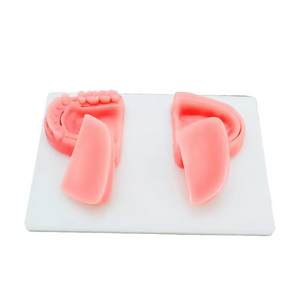 Almohadilla de sutura ortod&oacute;ntica, m&oacute;dulo Dental, Kit de pr&aacute;ctica de almohadilla de sutura quir&uacute;rgica para almohadillas de sutura dentales m&eacute;dicas para dentistas Ideal