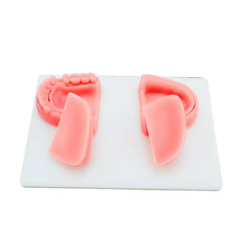 Cuscinetto di sutura ortodontico Modulo dentale Kit di pratica del cuscinetto di sutura chirurgico per cuscinetti di sutura dentale medico per dentisti Ideale