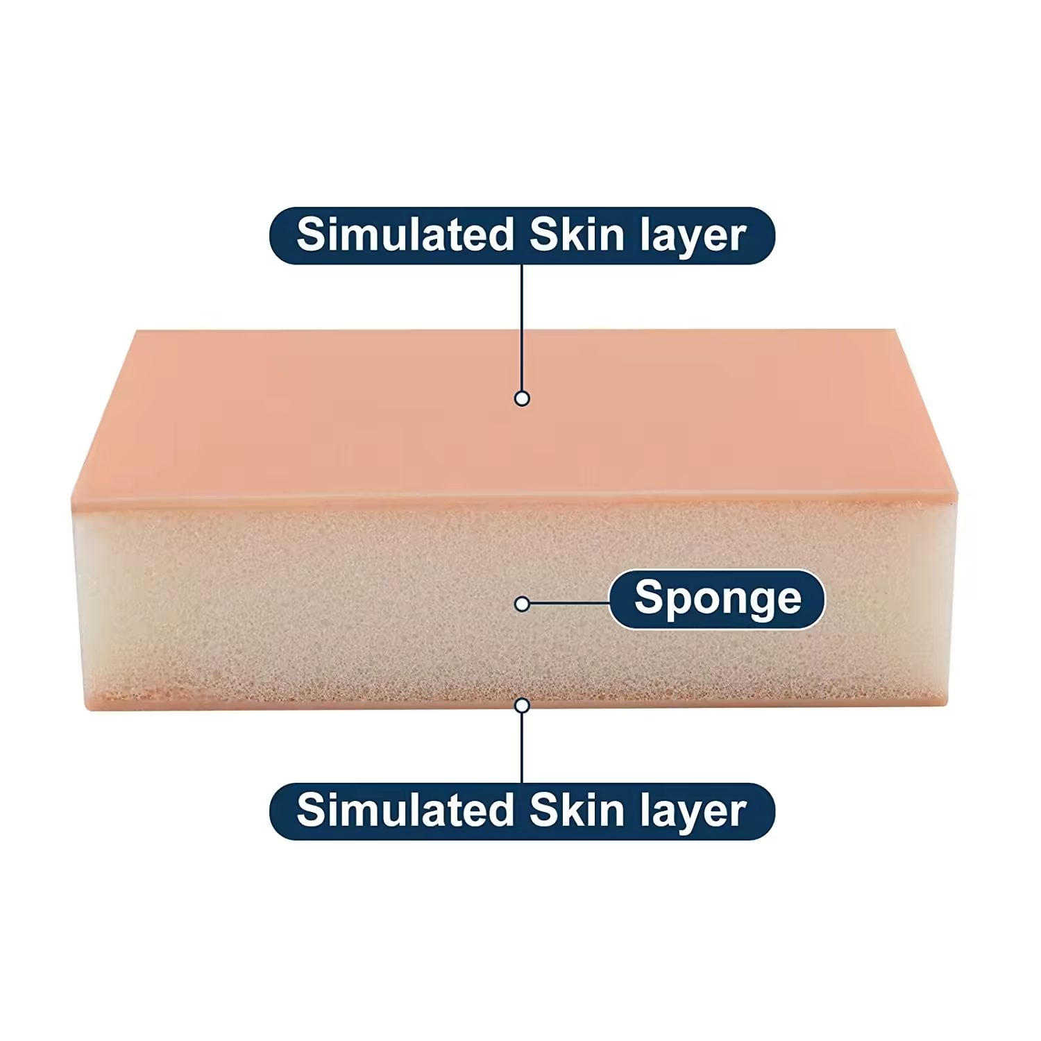 Modello didattico per studenti di medicina infermieristica Ultrassist Injection Training Pad con spugna assorbente