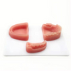 M&oacute;dulo dental kit de treinamento de sutura simulado modelo de sutura oral para treinamento m&eacute;dico dente e almofada de pr&aacute;tica de sutura gengival