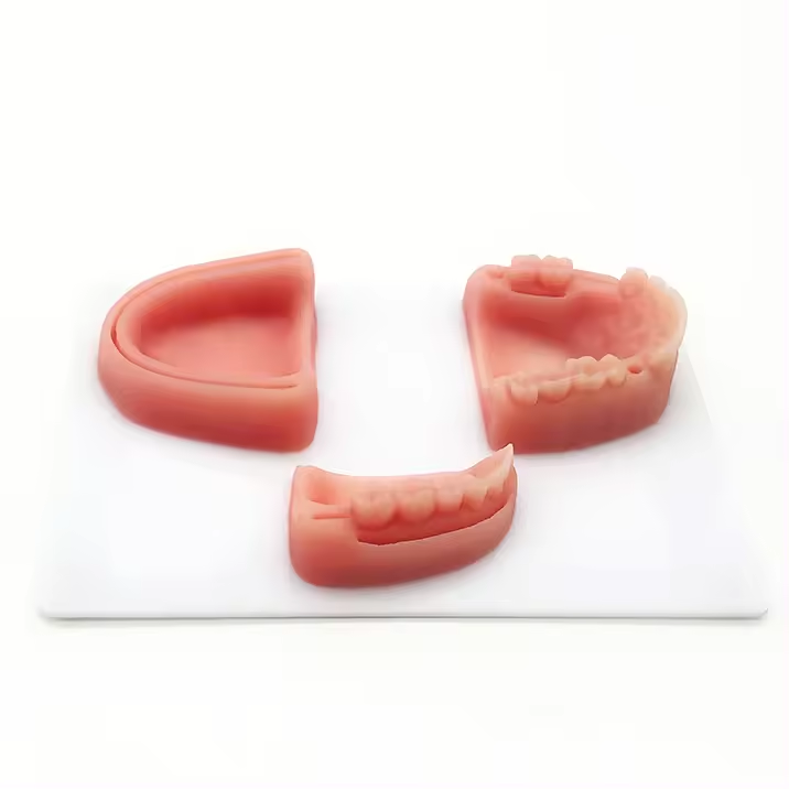 Dentalmodul-Naht-Trainingskit, simuliertes orales Nahtmodell f&uuml;r die medizinische Ausbildung, Zahn- und Zahnfleischnaht-&Uuml;bungspad