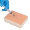 Modello didattico per studenti di medicina infermieristica Ultrassist Injection Training Pad con spugna assorbente